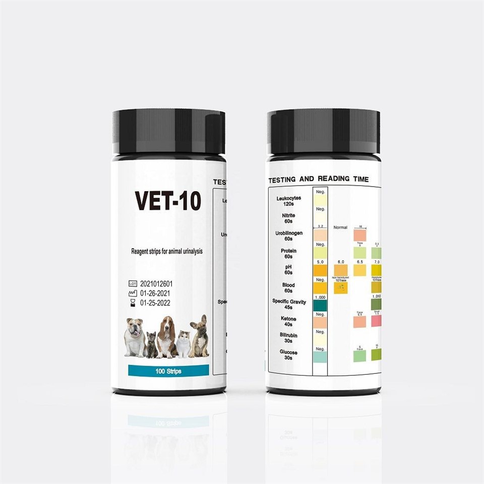 VET Urine Test Strips factory